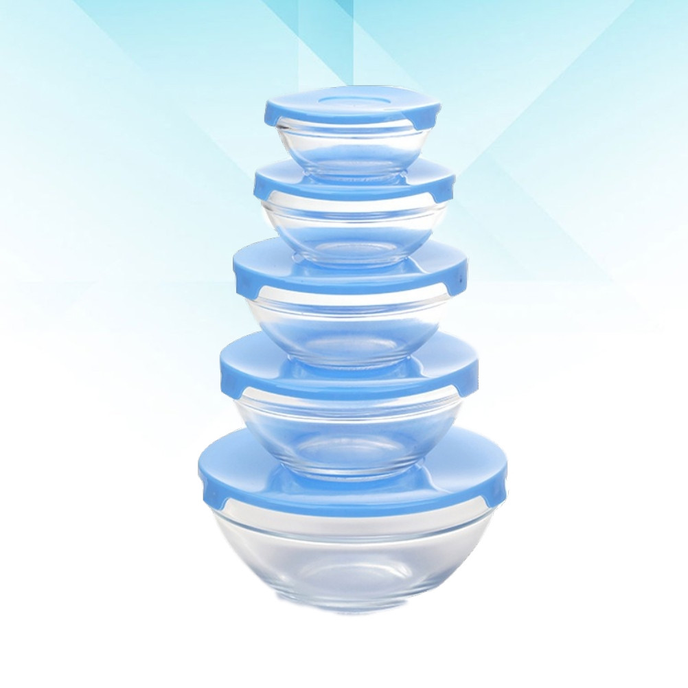 5Pcs Borosilicate Glass Bowl S - Food Storage Oven Safe recension och pris
